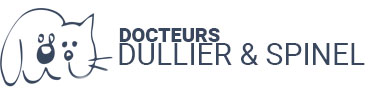 Vétérinaire Vincent Dullier